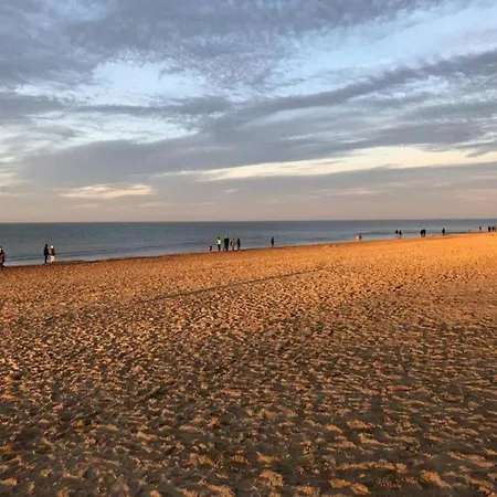 In Near The Sea, Cleaning Included