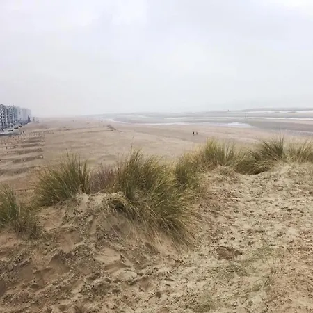 Villa In Near The Sea, Cleaning Included