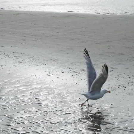 In Near The Sea, Cleaning Included *